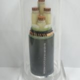 輻照交聯(lián)聚烯烴絕緣電線電纜