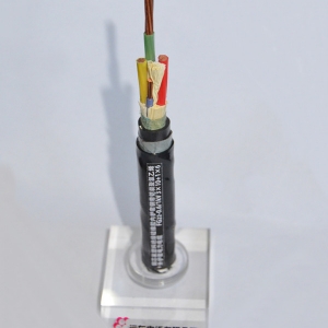 氟塑料絕緣氟塑料護套電力電纜